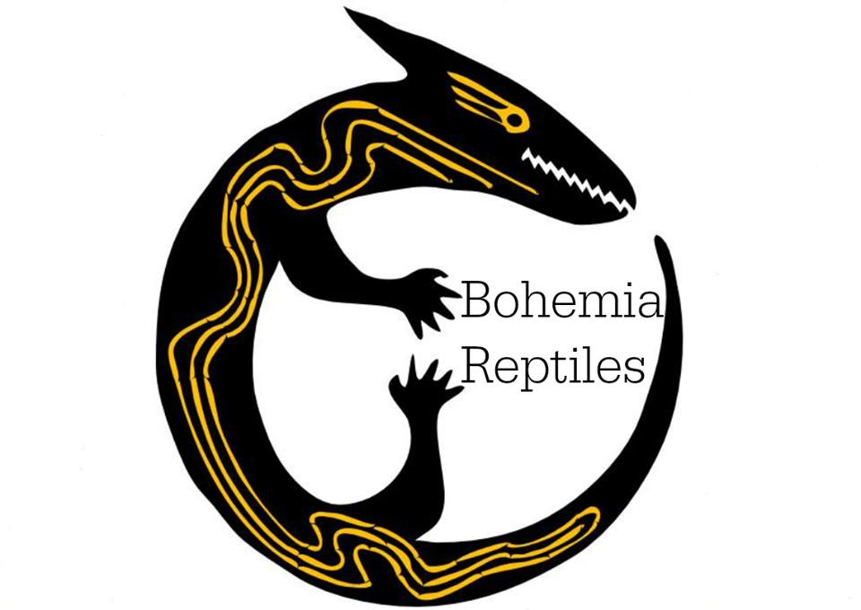 Bohemia Reptiles